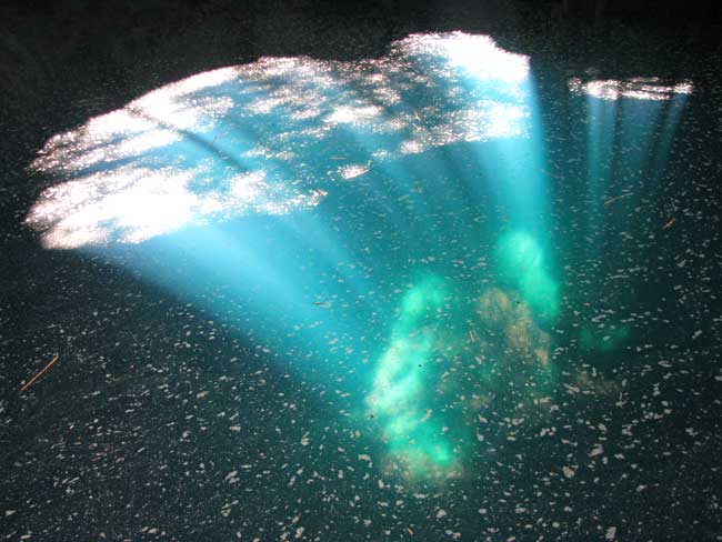 Cenote reflection