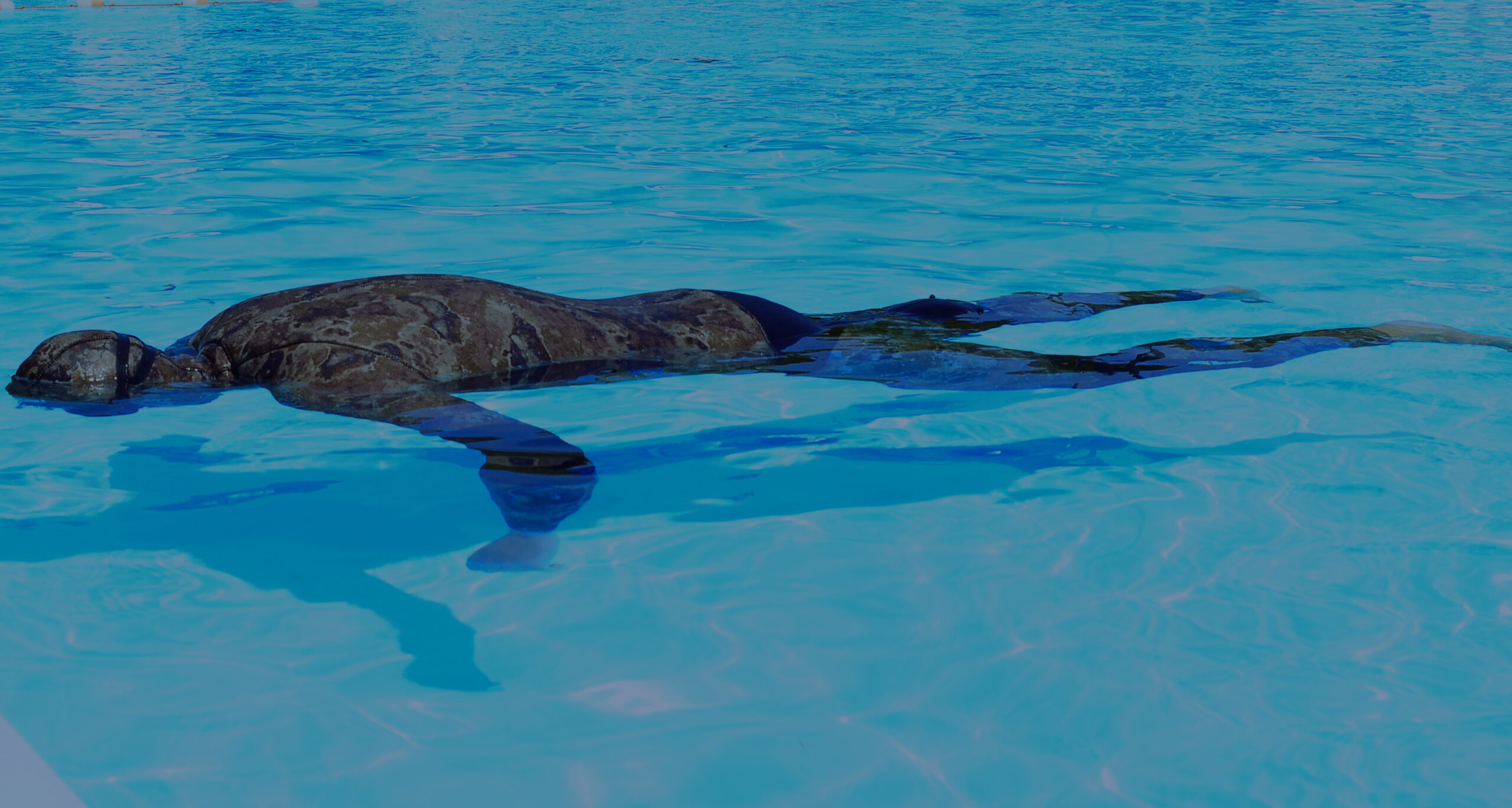 sessione apnea statica Moving Limits