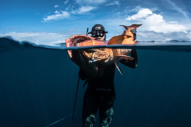 Spearfishing session with Nicola Manfredi