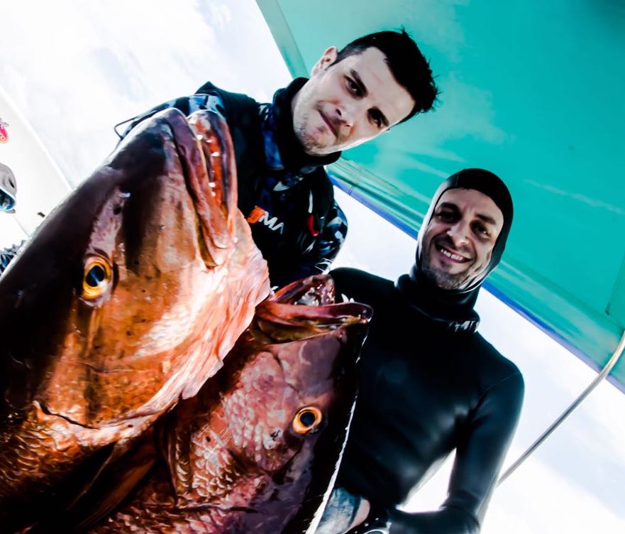 Spearfishing session