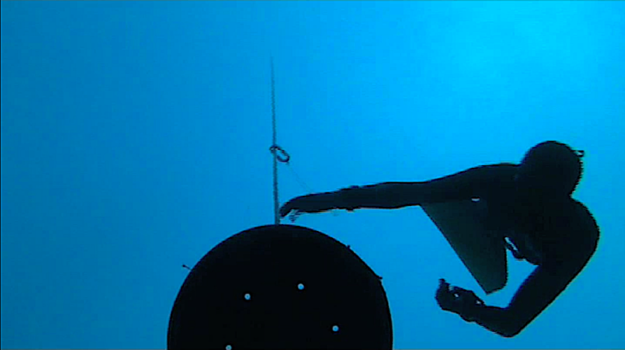 freediving performance
